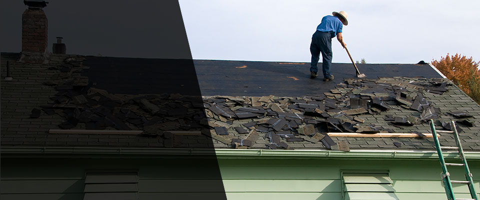 Apollo Roofing Contractors
